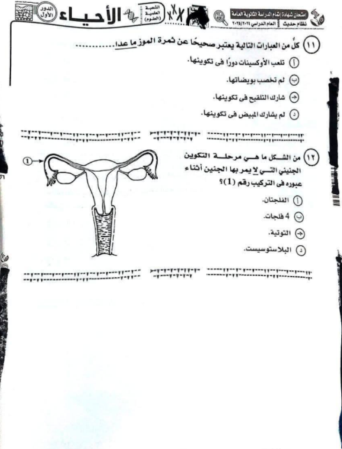 امتحان الأحياء ثانوية عامة 2025.png 4 امتحان الأحياء ثانوية عامة 2025.png 4